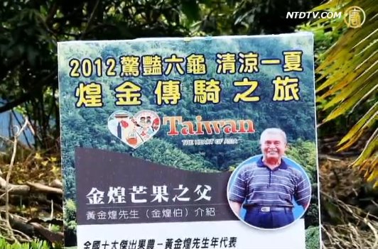 美味芒果冰 來自金煌之父不藏私