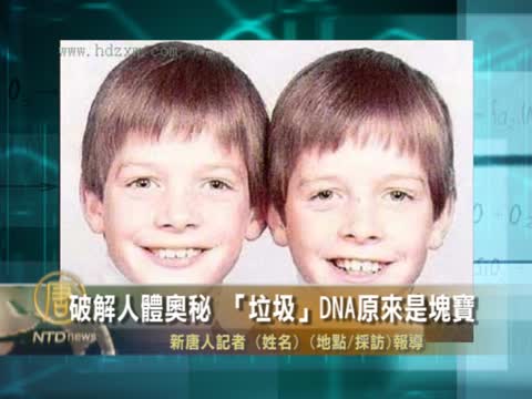 破解人體奧秘  “垃圾” DNA原是寶