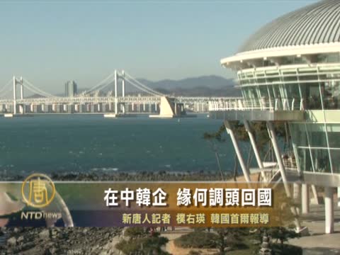 在中韓企 緣何調頭回國