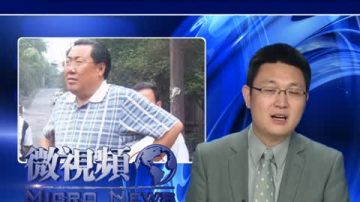 【微视频】处理“表哥” 党内有不同意见