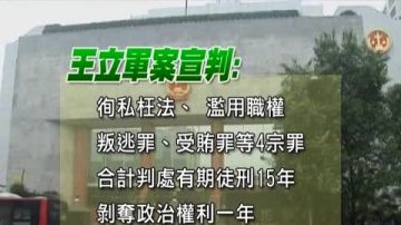 王立軍判15年 民呼不符公平正義