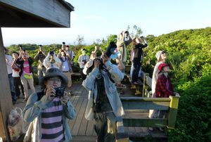 秋季鷹季展開 台灣墾丁國家公園賞鷹樂活之旅