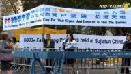 紐約聯合國前 法輪功呼籲關注活摘罪行