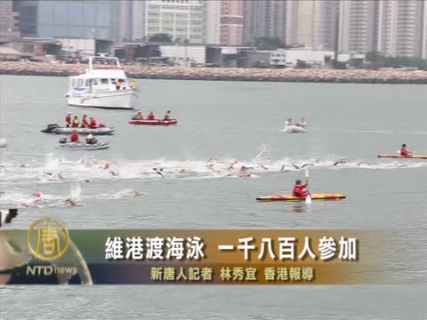 維港渡海泳 一千八百人參加