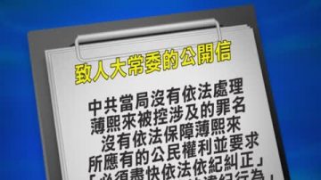 為薄熙來鳴冤？政治動機大於目的