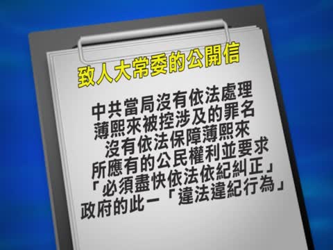 為薄熙來鳴冤？政治動機大於目的