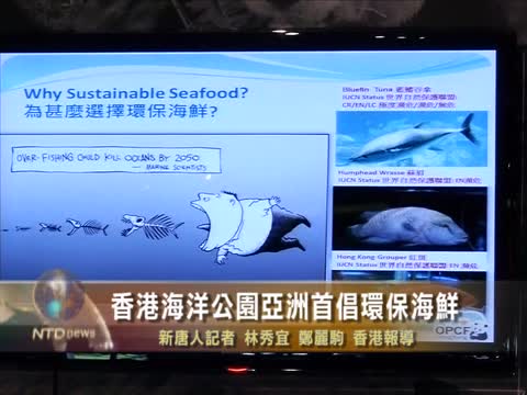 香港海洋公園亞洲首倡環保海鮮