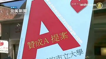 挺A提案：首家华埠大学遇危机