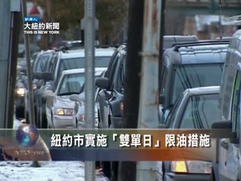紐約市實施「雙單日」限油措施