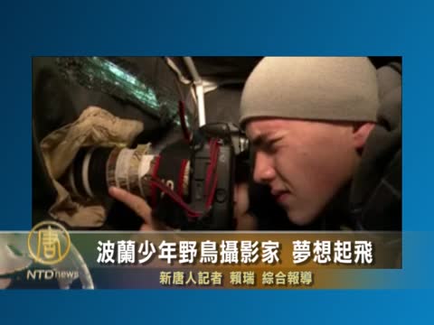 波蘭少年野鳥攝影家 夢想起飛