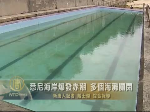 悉尼海岸爆發赤潮 多個海灘關閉