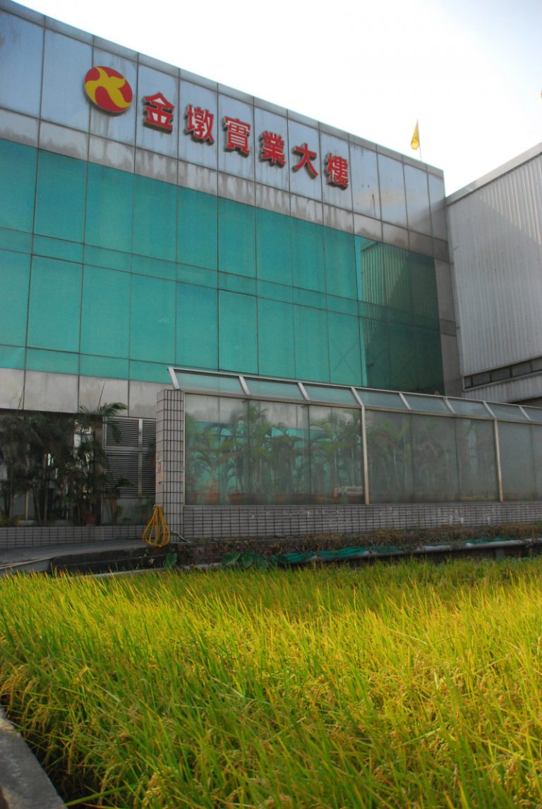 金墩米下架  彰化查販售通路