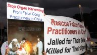 韓醫學界:不應縱容中共活摘器官