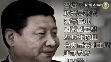 习近平掌权 个人经历或窥政见端倪