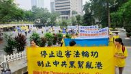 港恶党团伙侵扰法轮功 引全球关注