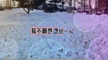 1314個雪人 癡男收穫感動 溜走愛情