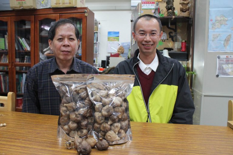 創新黑蒜頭製程  金大申請專利
