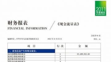 官方慈善基金「48億」巨款消失引熱議