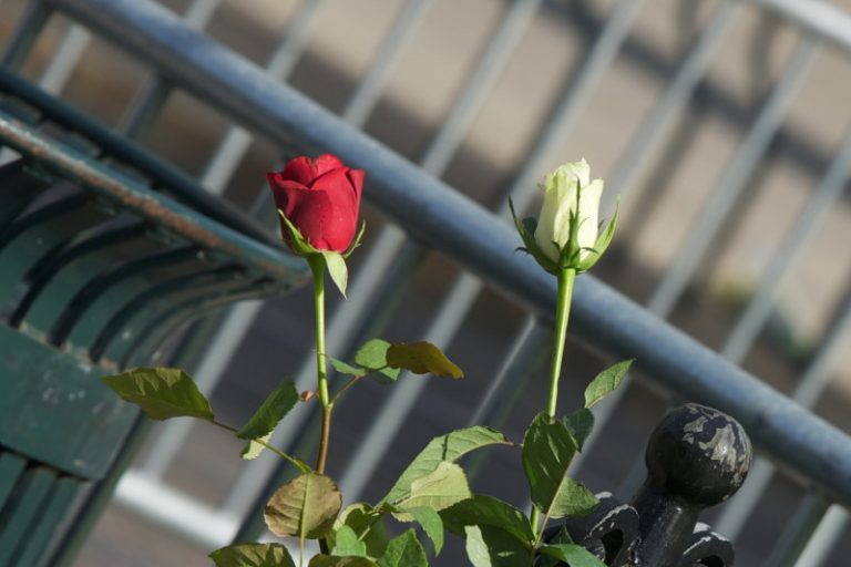 中美兩國殺童悲劇  處理態度大不同