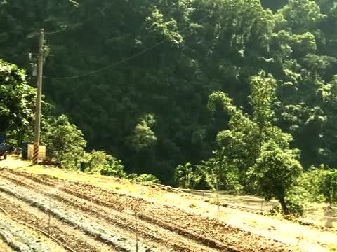 築夢大武山！排灣族農夫的田園樂