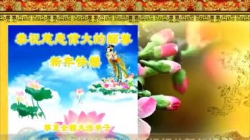 大陆各地法轮功学员祝师父新年好