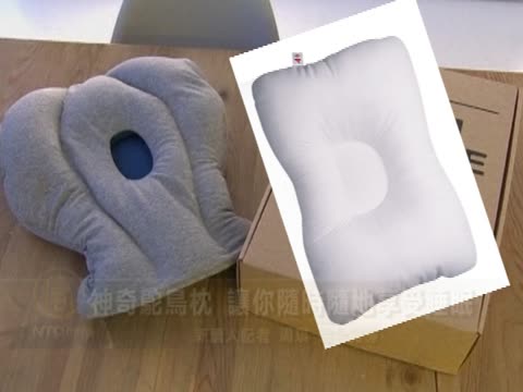 神奇鴕鳥枕 讓你隨時隨地享受睡眠