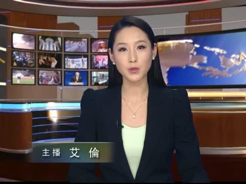 查維斯延後宣誓就職 委國掀憲政風暴