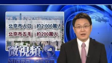 【微視頻】微博保衛戰拉開序幕 北京五毛10%