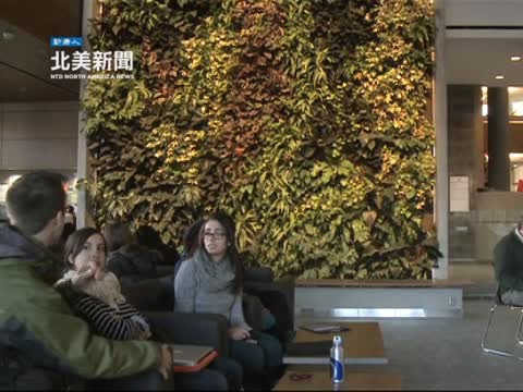 渥太華建北美最大室內天然植物牆