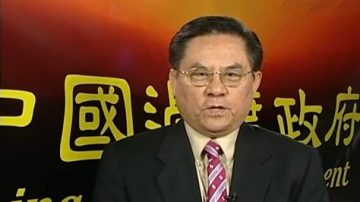 2013年 中国过渡政府总统文告（视频）