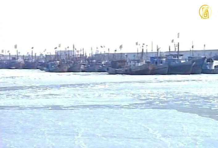 萊州灣海水結冰 逾千船受困