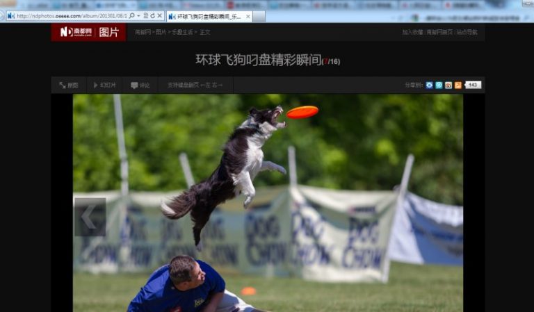 絕地大反攻 南都暗罵「環球飛狗」