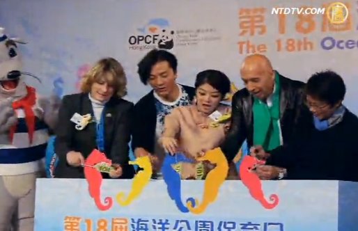 鄭伊健潛水尋海馬 籲保育海洋
