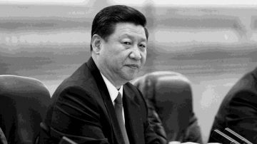 文昭：习近平左冲右突难为新