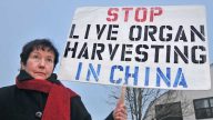 美國《波特蘭論壇報》：中共活摘器官惡行（圖）