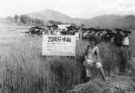 风调雨顺的三年 ——1959～1961年