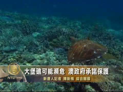 大堡礁可能瀕危　澳政府承諾保護