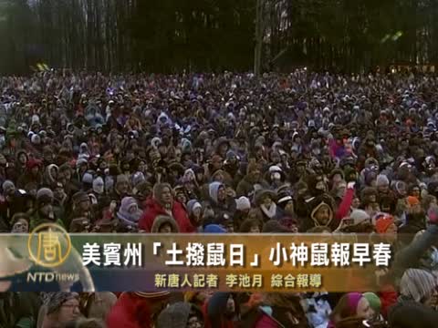 美賓州「土撥鼠日」 小神鼠報早春