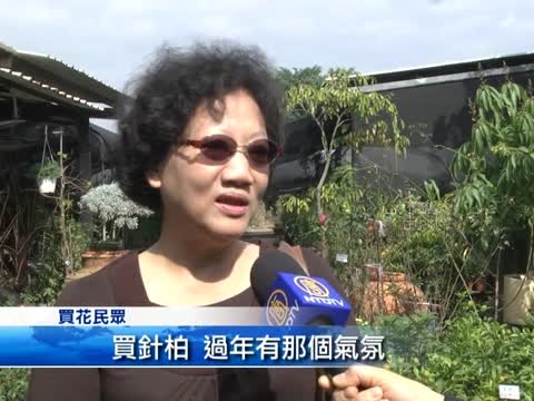 年前花卉買氣不如預期 業者不打烊