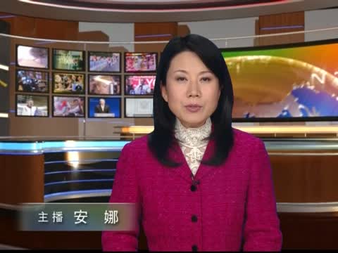 敘反對派團體會見阿盟