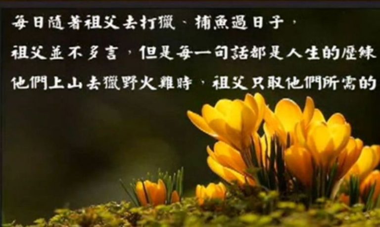 潛移默化的生命教育