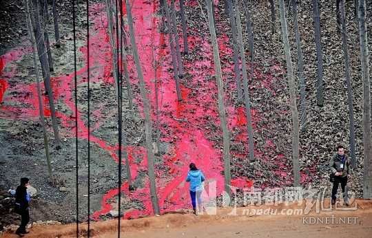 诡异！河南塌桥事故现场惊现不明血红液体