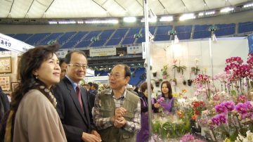 東京蘭展  沈斯淳探台蘭業者