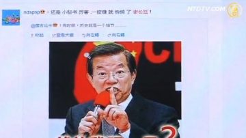 謝長廷微博遭封 立委：中國沒有言論自由