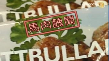 宜家肉丸发现马肉 欧洲13国停售