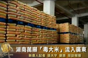 湖南萬噸「毒大米」流入廣東