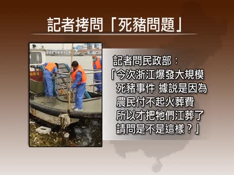 比漂流豬更勁爆的是『死豬上餐桌』