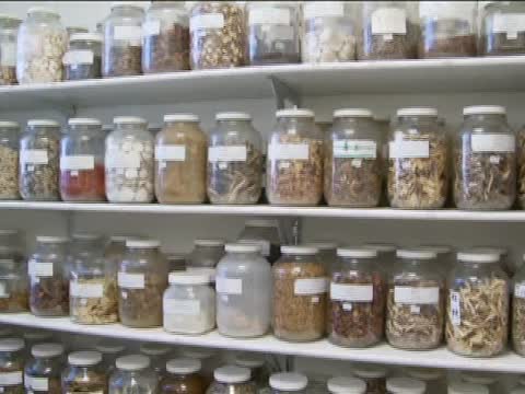 加安省團體擬循法律途徑抗爭中醫規管
