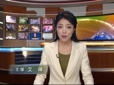 阿拉伯峰會承認並支持敘反抗軍
