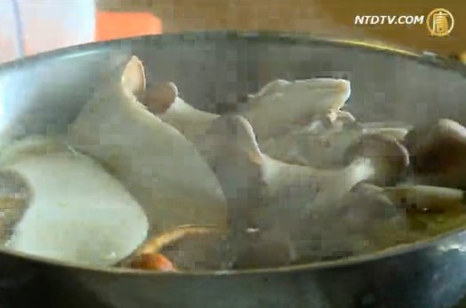 春遊彰化香菇農場 認識香菇生態